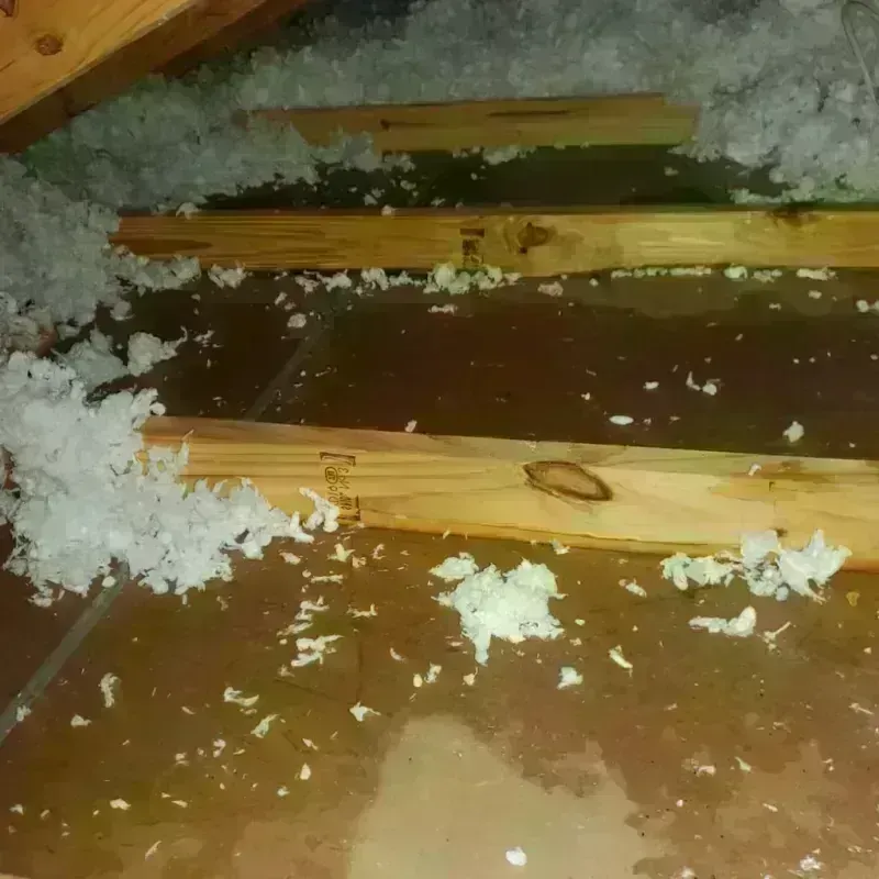 Attic Water Damage in Sumrall, MS